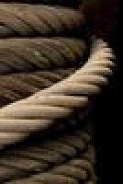 Galvanized Wire Ropes $0