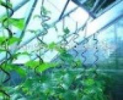 growing spiral wire/tomato wire $0