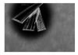 Hammered Bars & Handrails $0