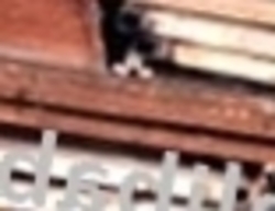 Heavy Melting Steel $1