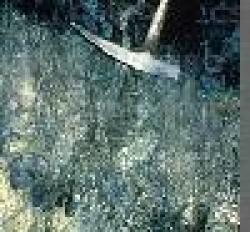 High Carbon Ferronickel Ingot $0