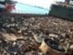 HMS1 & 2 EUROPA ORIGIN $1