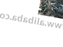 Hms1-2 from USA- 7 cont $1