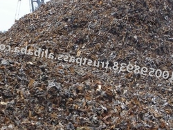 HMS 1 & 2 [80: 20 Mix]-ISRI 200-206 $1