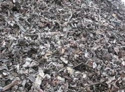 HMS 1&2 ,P&S,Auto Shred & CI Pipes $1