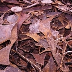 HMS 1&2 Used Rails $1