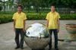 Hollow Spheres for decoration, Stainless $0