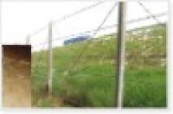 Hot Galvanized barbed iron wire $0