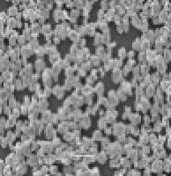 Iron metal powder $0