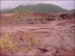 IRON ORE 64.0% Mexico,One MillionX12month at 85USD,FOB,irrevocable Non-transferrable DLC $0