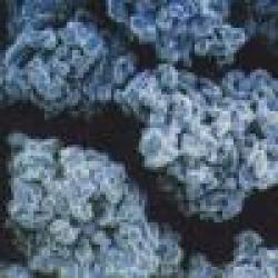 Iron Powder Used for Diamond Tools $0