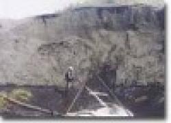 Iron sands business liaison services $0