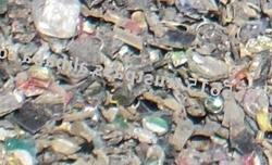 Portugal PTA-03 Bottle cap scrap