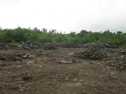 Chrome ore offered $0