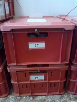 Copper powder ultrafine 99.999% up to 50 mt. $0