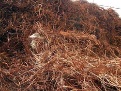 Copper scrap - US$220 MT CIF Terms $0