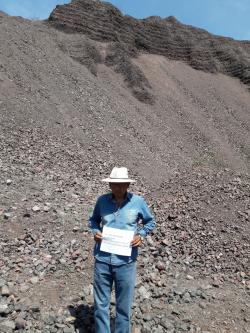 Manganese ore 40% 30,000 mt/m CIF $230