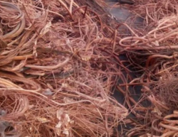 Need copper wire scrap  $0