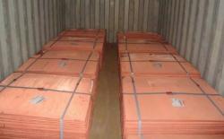 Cu 99.99 Electrolytic Copper Cathodes for sale  $0
