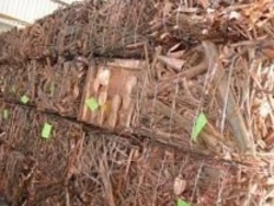 Interested in purchasing of copper scrap $0