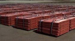 Tunisia Сopper cathodes 99,99%, EXW