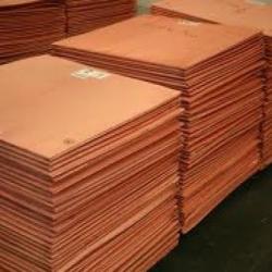 South Africa Copper Cathodes, LME 25% on 5000t