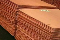 Malaysia Copper cathodes needed, 2000MT trial order, 3000-5000MT a mo