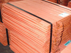 Copper Cathode 99.97%-99.99%, 1000mt a mo, CIF $0