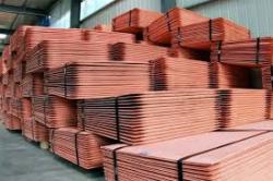 United States Copper Cathode 99.99% 40.000MT a month FOB