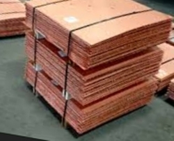Copper Cathode in EU 5,000MT a month