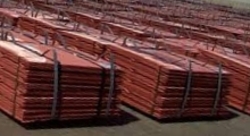 Copper cathodes 5000mt min order CIF $0