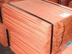 Copper cathodes 99,99% 30,000MT a month CIF $0