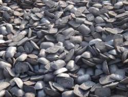 Interested in pig iron 500MT per month FOB