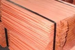 Copper cathodes 1000MT a month FOB $0