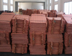 Copper Cathode supplies, 3000 Ton per month, for 12 month contract.