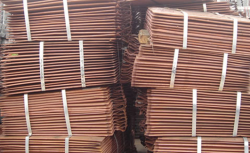 Copper cathodes supplies