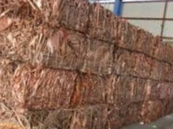 Copper wire millberry Сif 500MT min