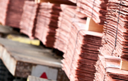 Interested in Copper Cathodes
