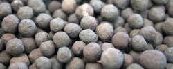 Iron Ore Pellets supplies, 50,000mt on CFR