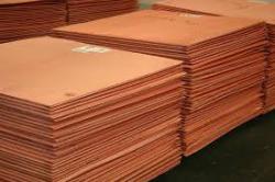 United States Copper cathodes needed 20,000MT CIF
