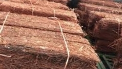 United States Millberry copper wire up to 5,000MT a month needed, 1000MTmin order
