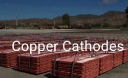 Supplying Copper Cathodes CIF