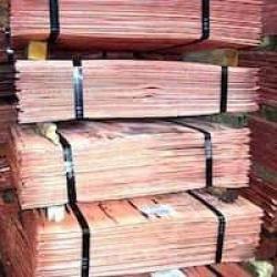 Copper cathodes 99,9% LME-20% CIF $0