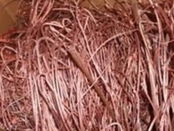 Buying millberry copper 99,95% 30,000-100,000mt cif $3600