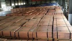 Interested in copper cathode 1000MT per month on CFR $0