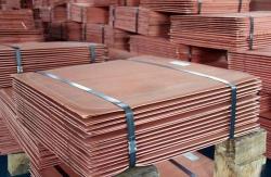 United States Copper cathodes, 1000MT min a month LME-15% CIF
