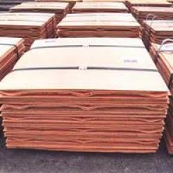 India Copper cathodes needed, SGS, CIF