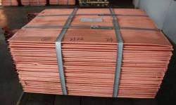Copper Cathode Grade A 99,99% CIF MOQ 1000mt