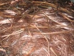 Interested in Copper millberry, 25MT first order, 500mt a month $0