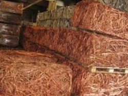 Interested in Copper millberry, 25MT first order, 500mt a month $0